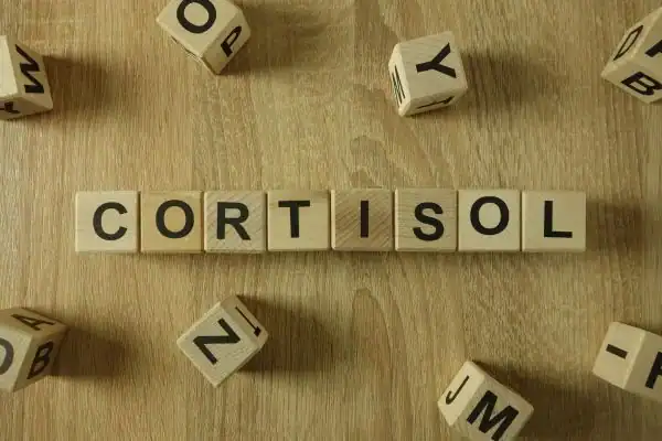 The Hidden Connection: How Stress Shapes Your Fitness and Body Composition 2 Image saying "Cortisol" and how stress Worthing impacts your wellbeing and bodies shape